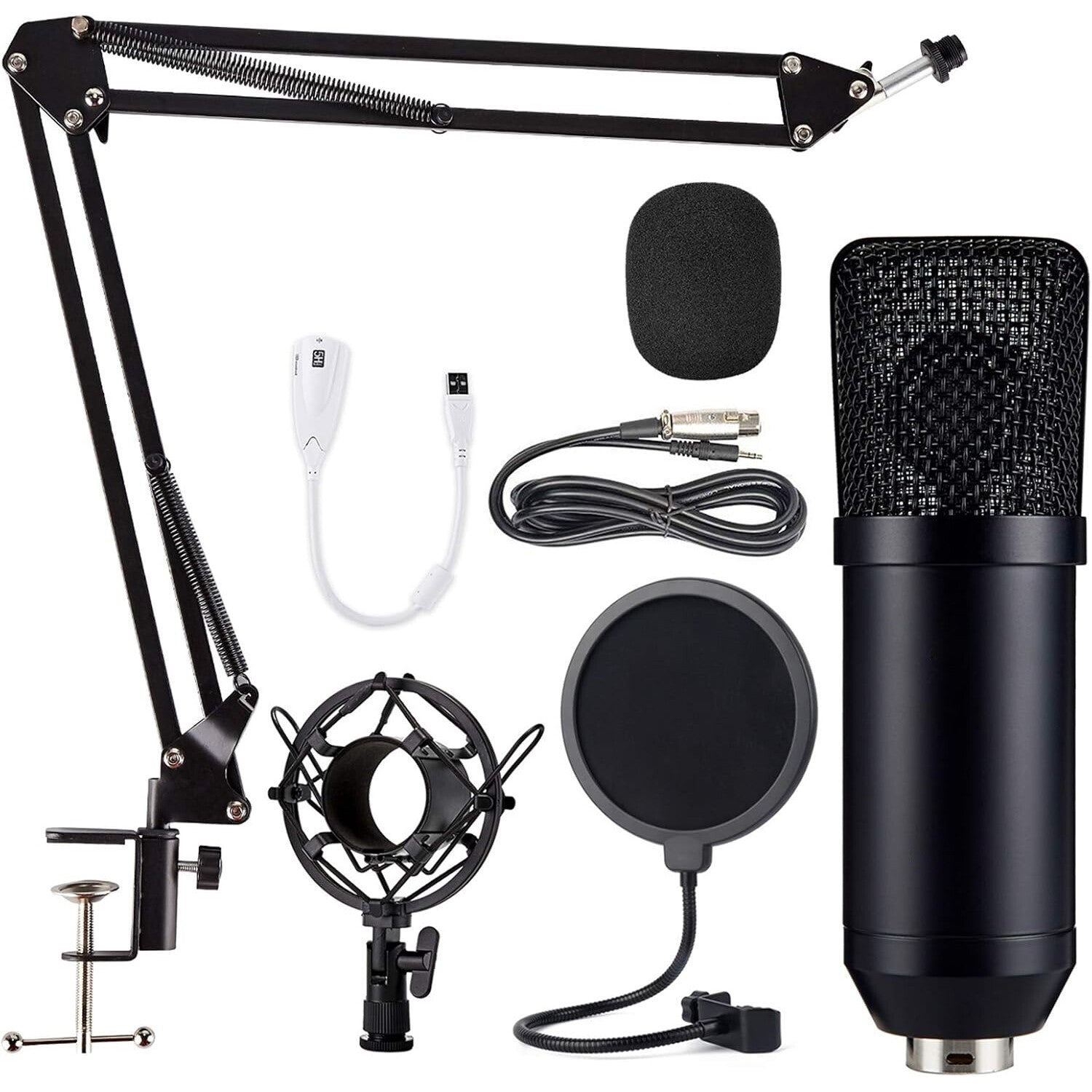 Professional Studio Recording Microphone Condenser Mic for Streaming Podcasting