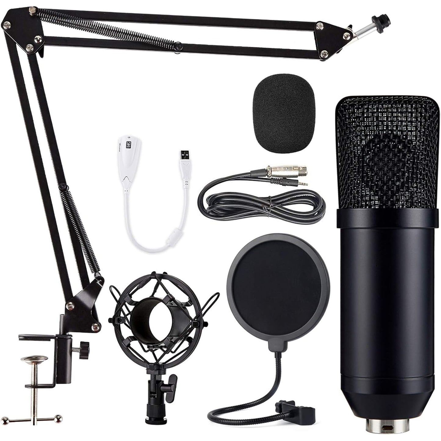 Professional Studio Recording Microphone Condenser Mic for Streaming Podcasting
