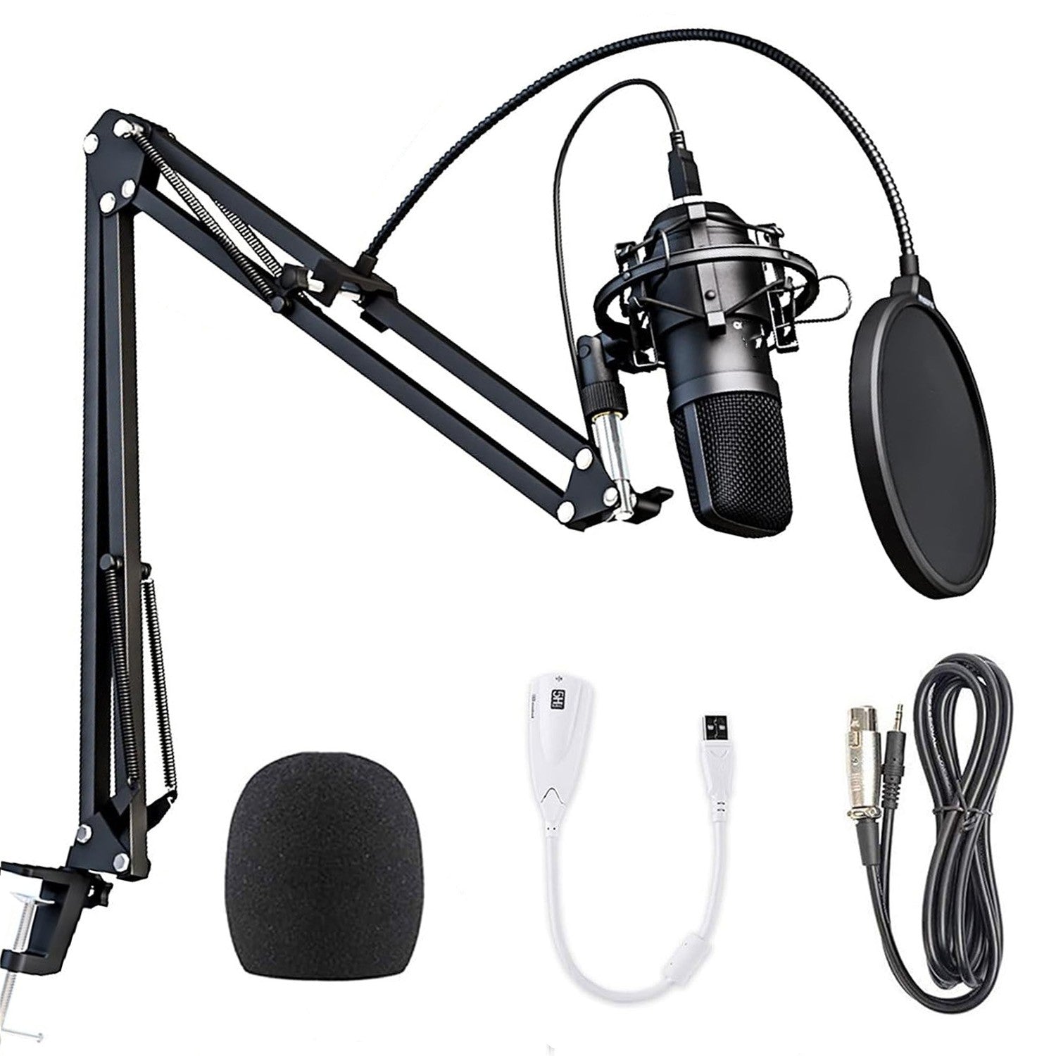 Professional Studio Recording Microphone Condenser Mic for Podcasting Streaming