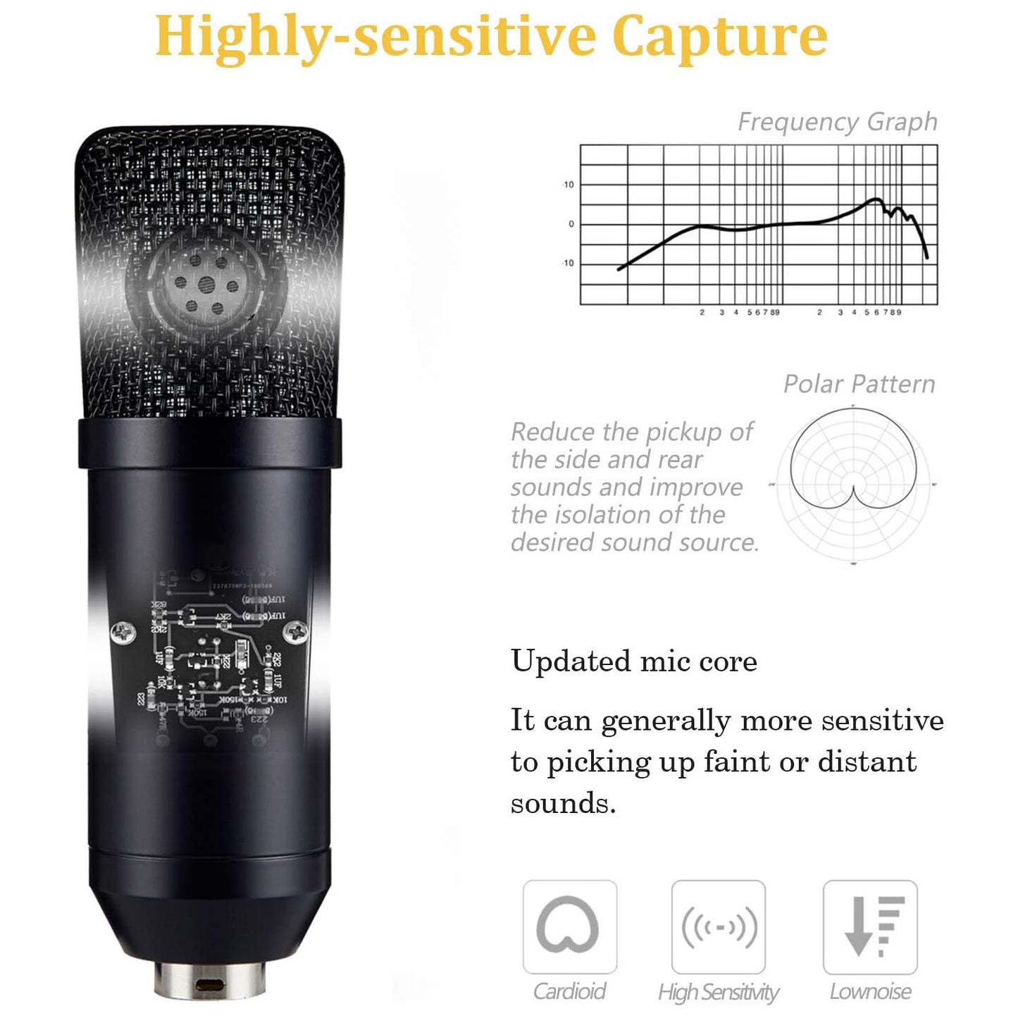 Professional Studio Recording Microphone Condenser Mic for Streaming Podcasting