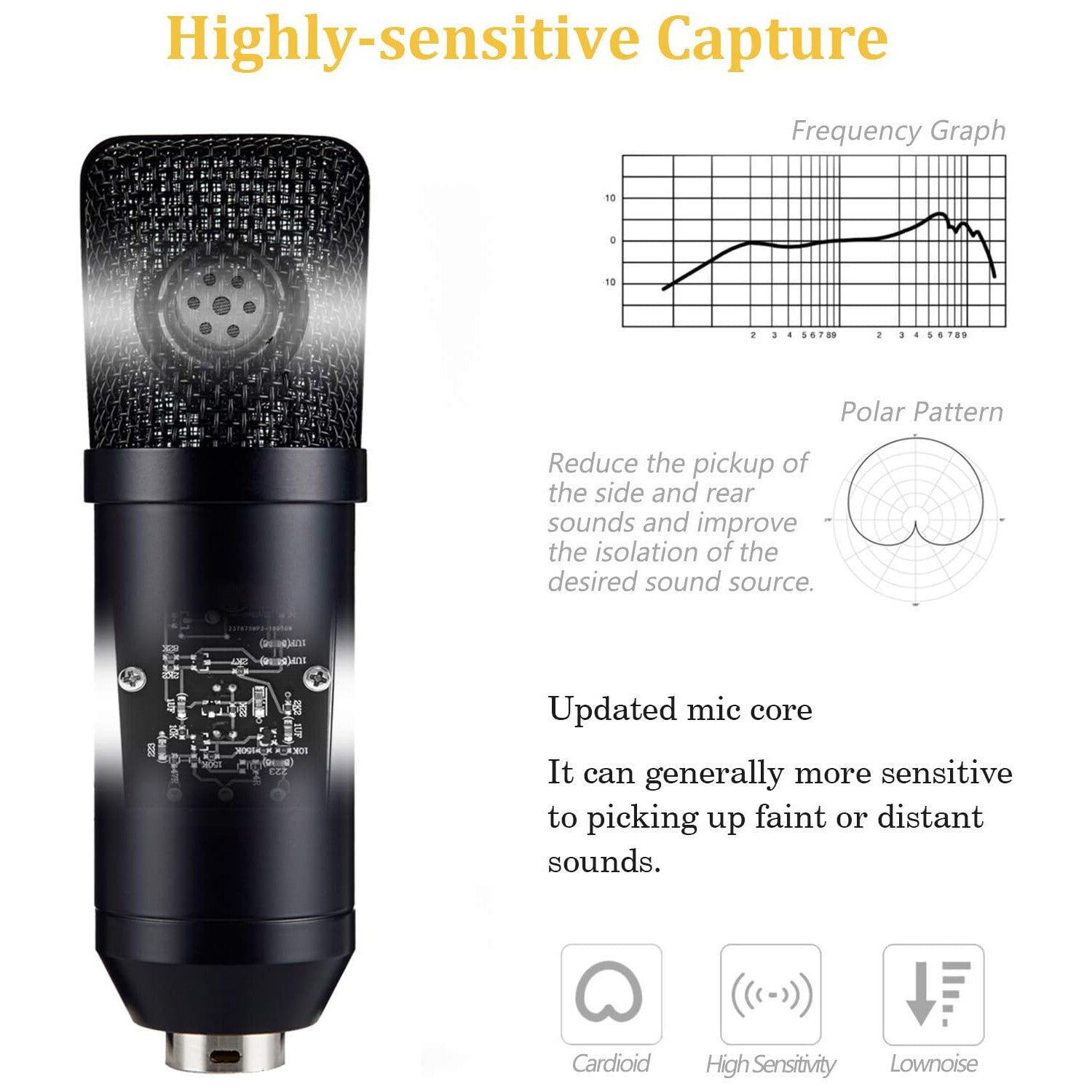 Professional Studio Recording Microphone Condenser Mic for Streaming Podcasting