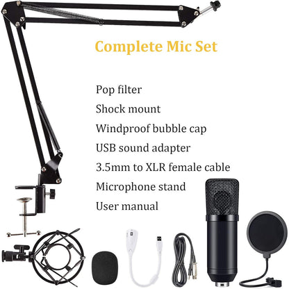 Professional Studio Recording Microphone Condenser Mic for Streaming Podcasting