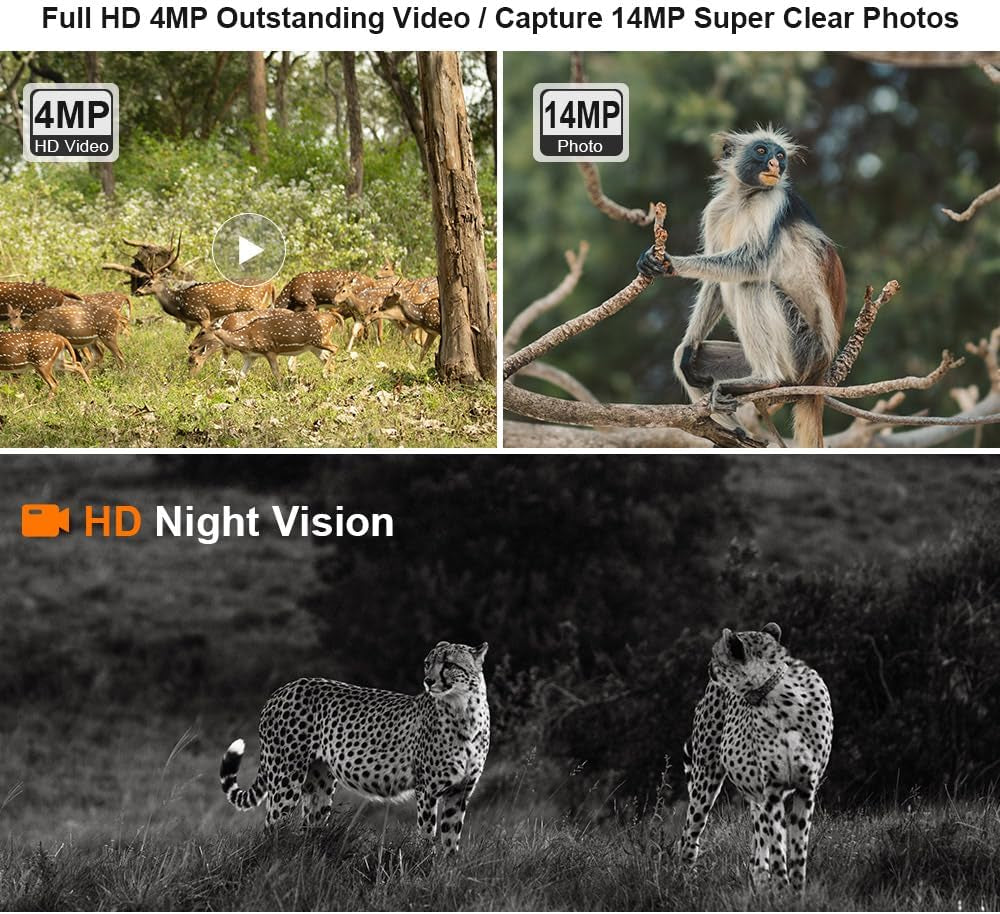 4G LTE Cellular Trail Cameras, 2K HD Live Streaming, Solar Powered Wildlife Game