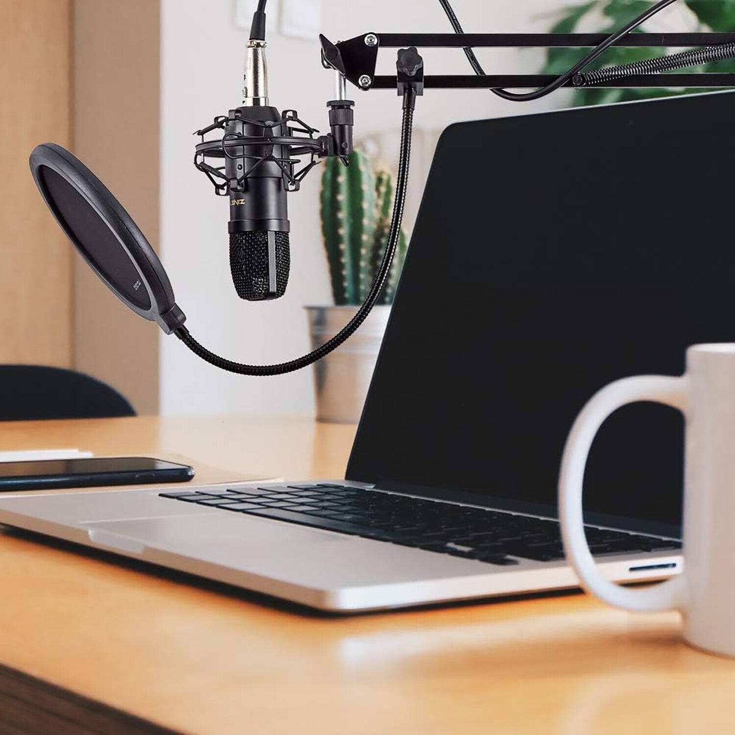 Professional Studio Recording Microphone Condenser Mic for Streaming Podcasting